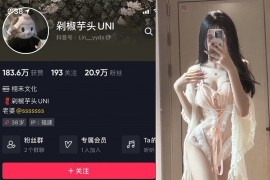 剁椒芋头UNI – 微密圈超清晰美图&视频合集【持续更新中】 - 微蜜图社-微蜜图社