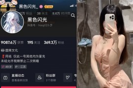 黑色闪光 – 微密圈超清晰美图&视频合集【持续更新中】 - 微蜜图社-微蜜图社